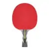 STIGA Raptor ping pong paddle